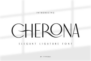 Elegant Stylish Font
