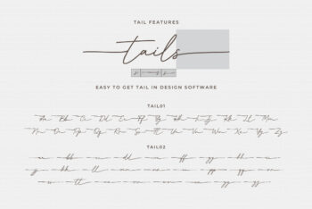 Elegant Handwritten Font