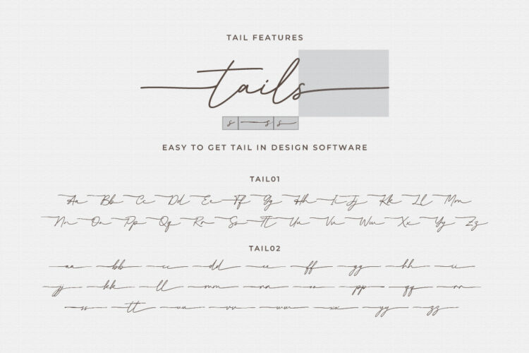 Elegant Handwritten Font