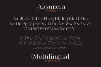 Stylish Serif Font Duo