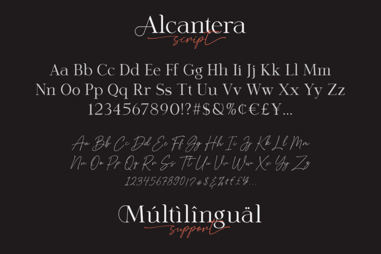 Stylish Serif Font Duo