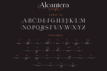 Stylish Serif Font Duo