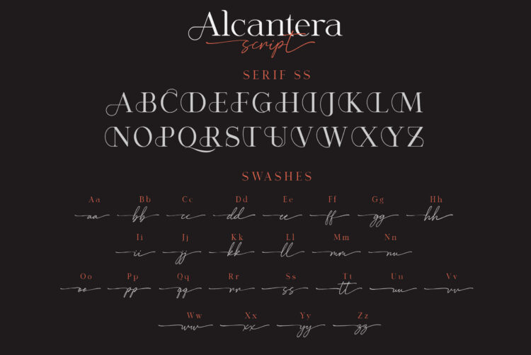 Stylish Serif Font Duo