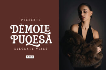 Vintage Display Font