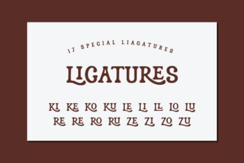 Vintage Display Font