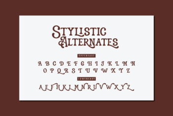 Vintage Display Font