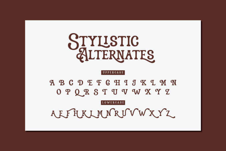Vintage Display Font
