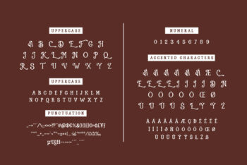 Vintage Display Font