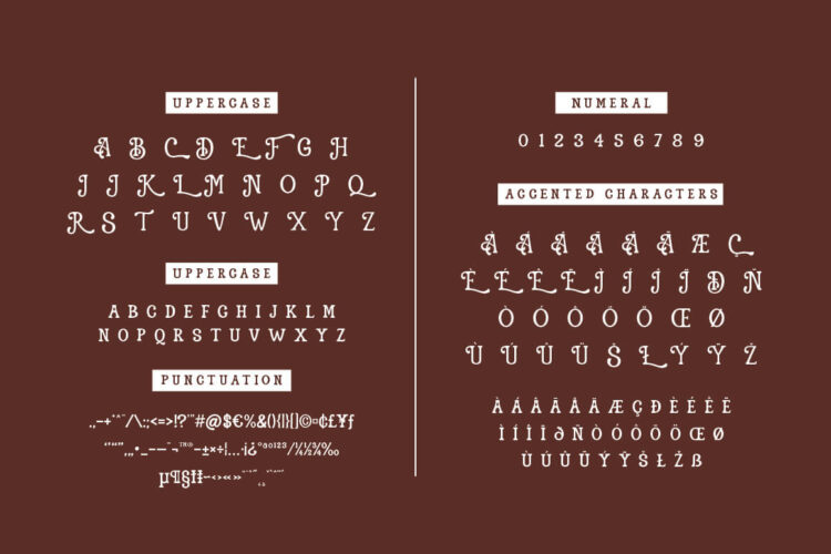 Vintage Display Font