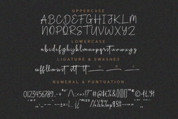 Handwritten Script Font