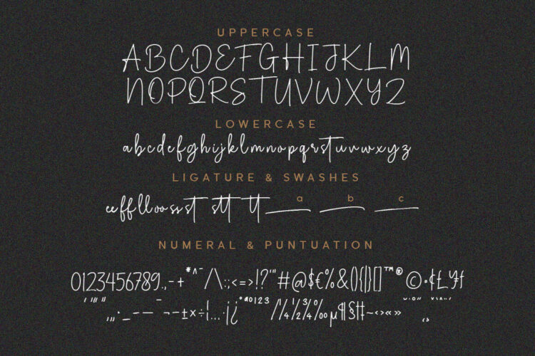 Handwritten Script Font