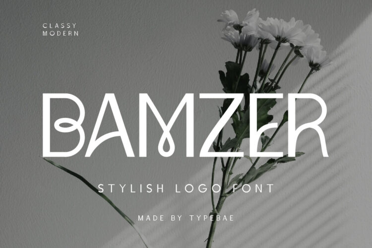 Stylish Logo Font