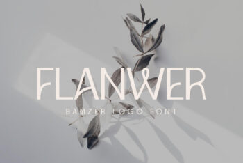 Stylish Logo Font