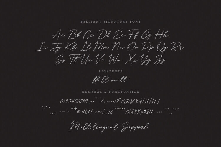 Signature Script Font