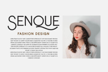 Stylish Display Font
