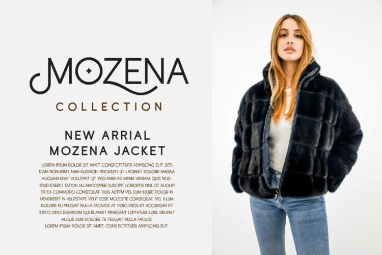 Stylish Display Font