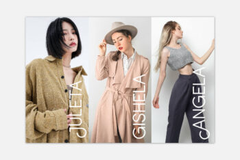 Stylish Display Font