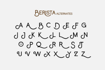 Stylish Display Font