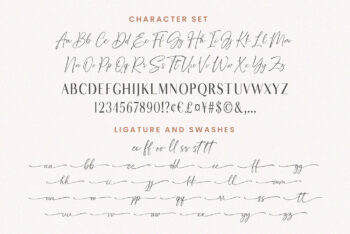 Signature Script Font Pack