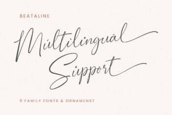 Signature Script Font Pack