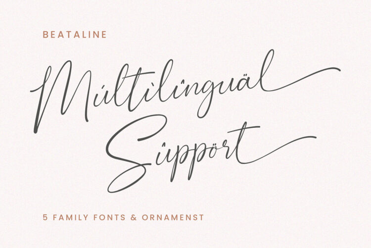 Signature Script Font Pack