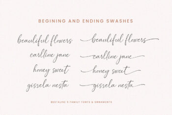Signature Script Font Pack