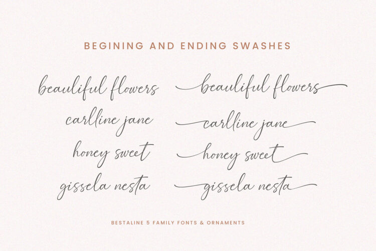Signature Script Font Pack