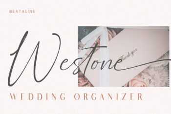 Signature Script Font Pack