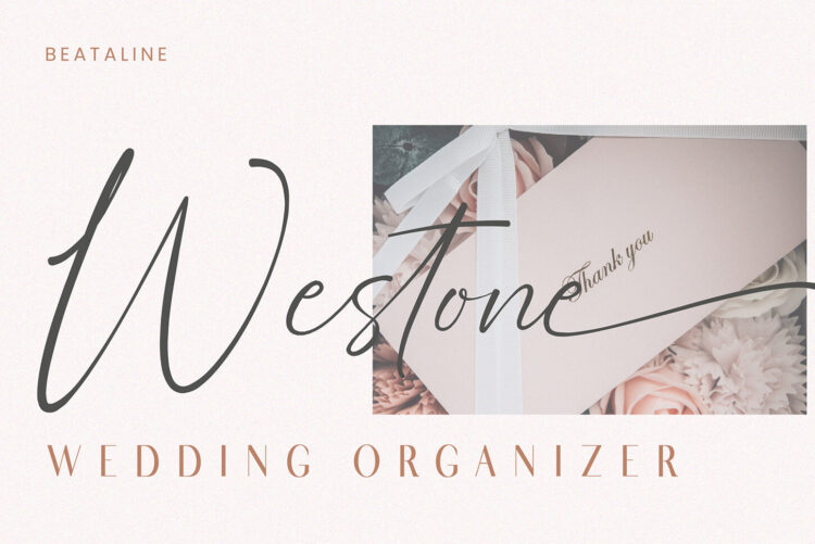 Signature Script Font Pack