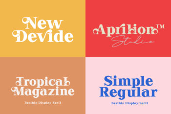 Vintage Serif Font Duo
