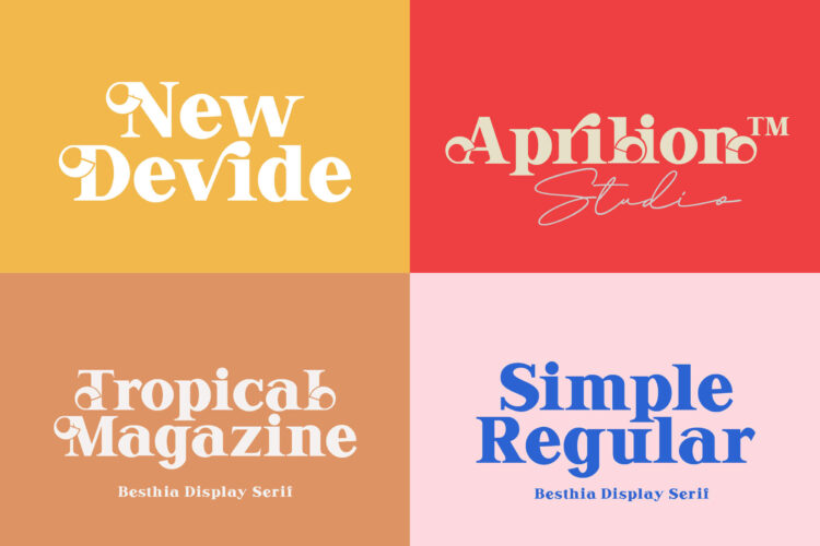 Vintage Serif Font Duo