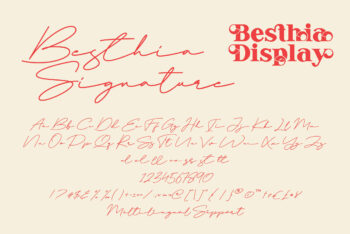 Vintage Serif Font Duo
