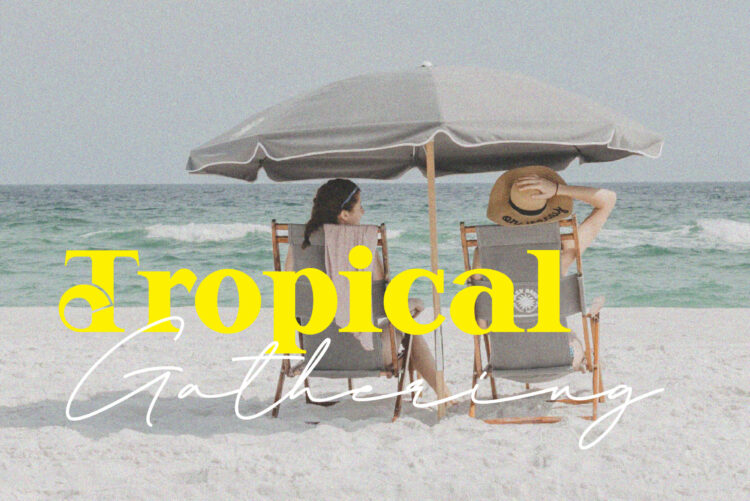 Vintage Serif Font Duo