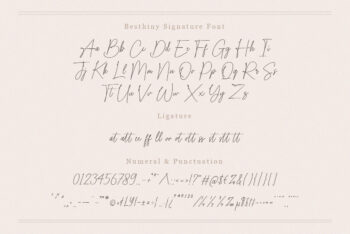 Handwritten Script Font
