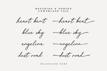 Signature Script Font