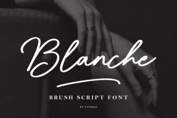 Handwritten Brush Script Font