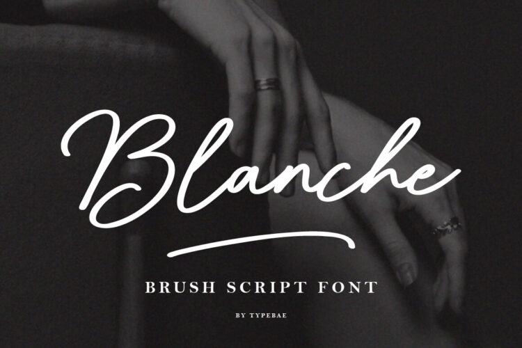 Handwritten Brush Script Font