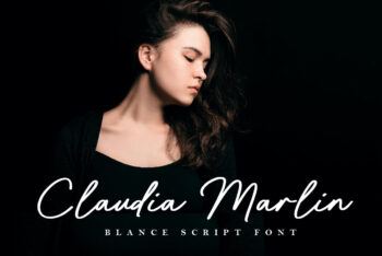 Handwritten Brush Script Font