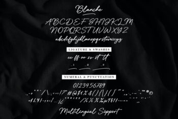 Handwritten Brush Script Font