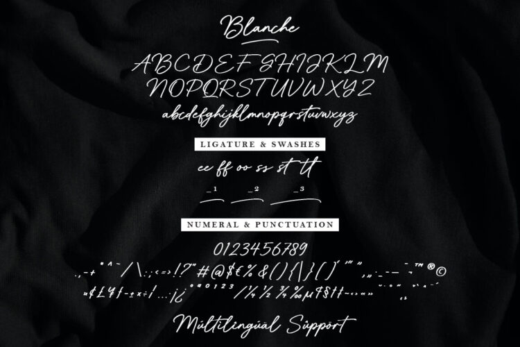 Handwritten Brush Script Font