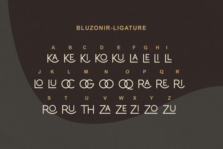 Stylish Sans Serif Font