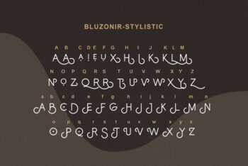 Stylish Sans Serif Font