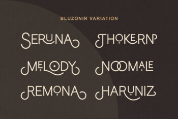 Stylish Sans Serif Font