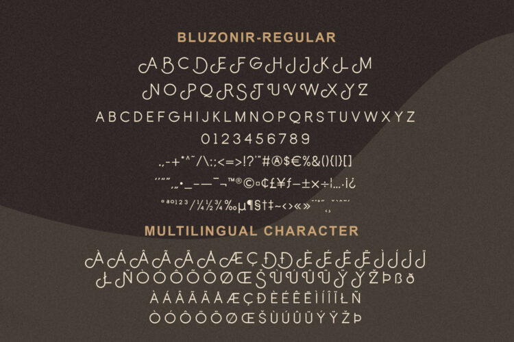 Stylish Sans Serif Font
