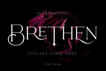 Stylish Serif Font