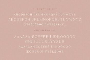 Stylish Serif Font