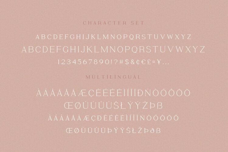 Stylish Serif Font