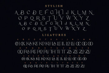 Stylish Serif Font