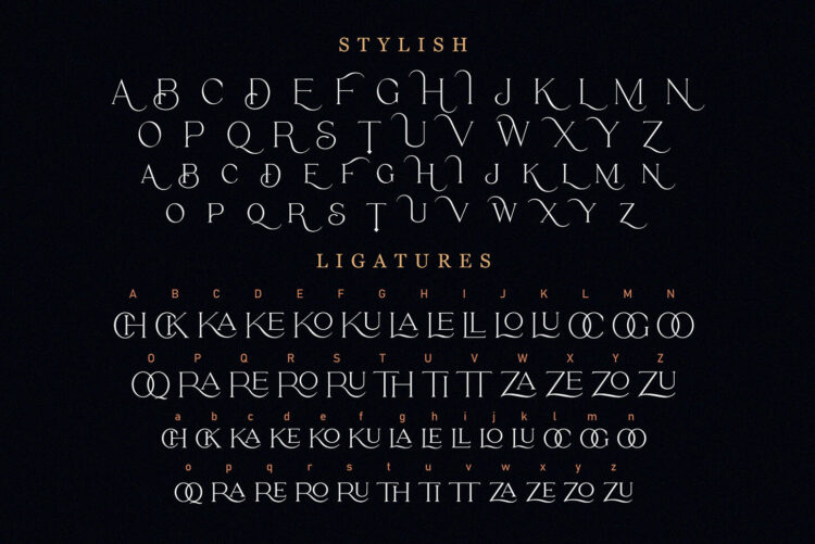 Stylish Serif Font