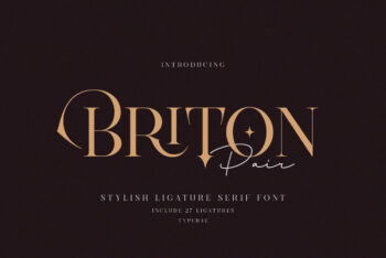 Stylish Luxury Ligature Serif Font